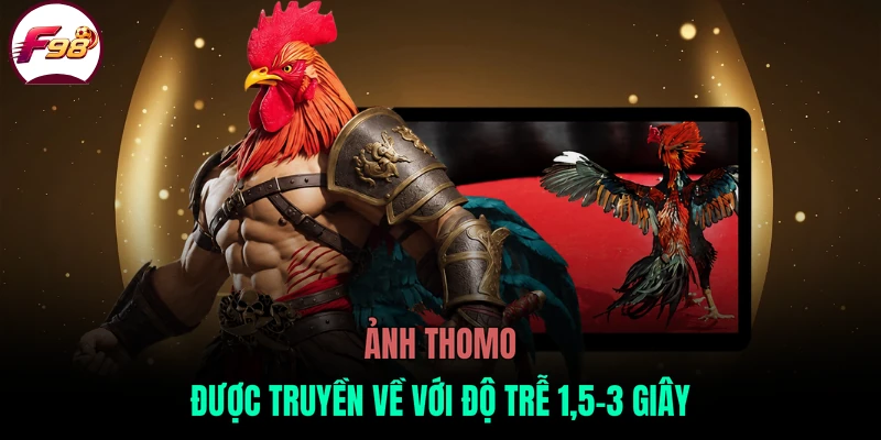 Hình ảnh Thomo được truyền về với độ trễ 1,5-3 giây