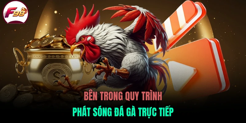Bên trong quy trình phát sóng đá gà trực tiếp