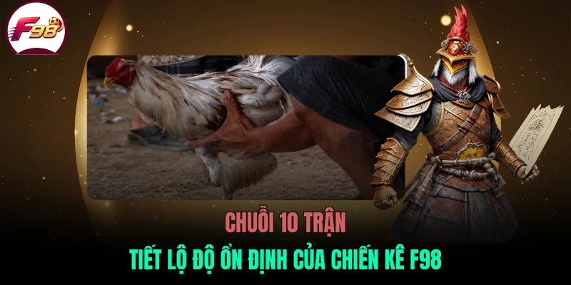 Chuỗi 10 trận tiết lộ độ ổn định của chiến kê F98