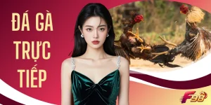 Đá Gà Trực Tiếp - F98 Phát Sới Đấu Liên Tục Suốt 24/7